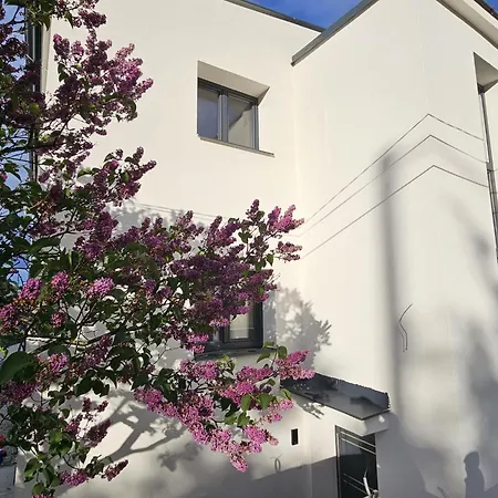 Appartement Levander *