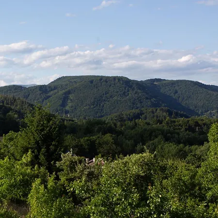 Apartmán Levander *